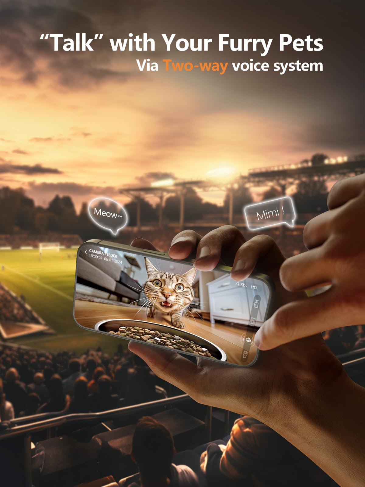 อัตโนมัติ Cat Feeder กล้องสัตว - Kitchen Appliances Video บทวิจารณ์และราคา
